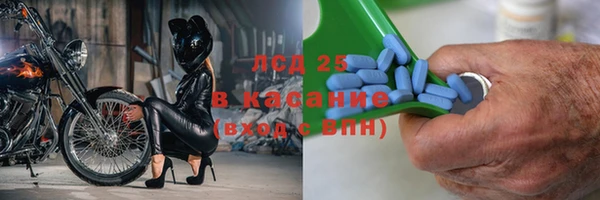 ешки Алексин