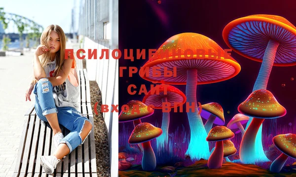 ешки Алексин