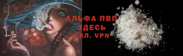 ешки Алексин