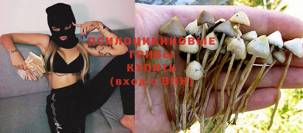 ешки Алексин